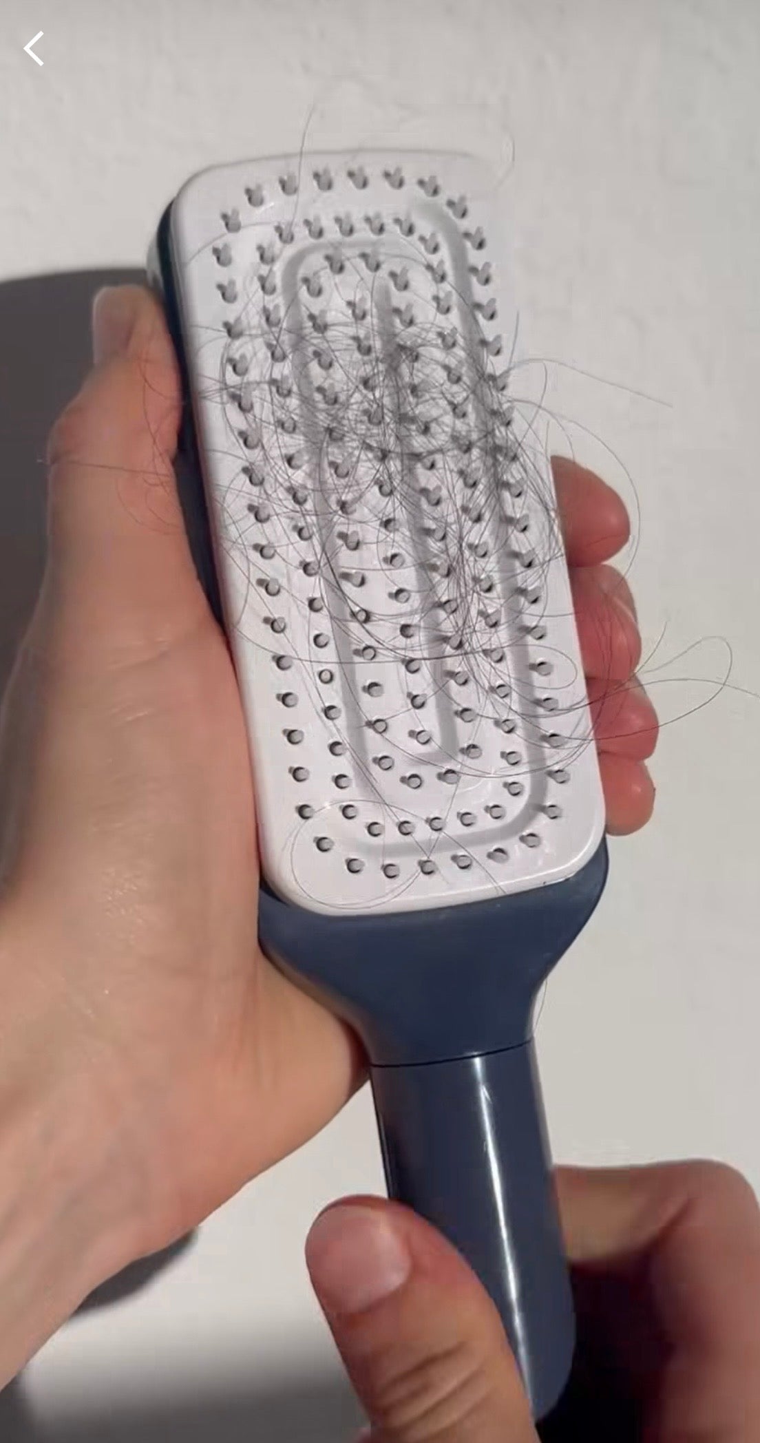 Self Cleaning Hair Brush